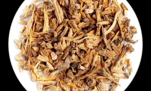 Dong Quai for anti-inflammatory hearing support