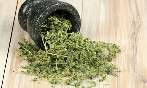 Epimedium and Tribulus Terrestris for inner ear circulation