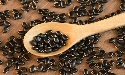 Brain support for tinnitus treatment